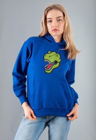 blue dinosaur hoodie